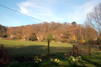 Looking towards Galley Hill April 2010